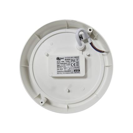 Udendørs LED loftlampe LED/15W/230V 4200K diameter 15,5 cm IP64 hvid
