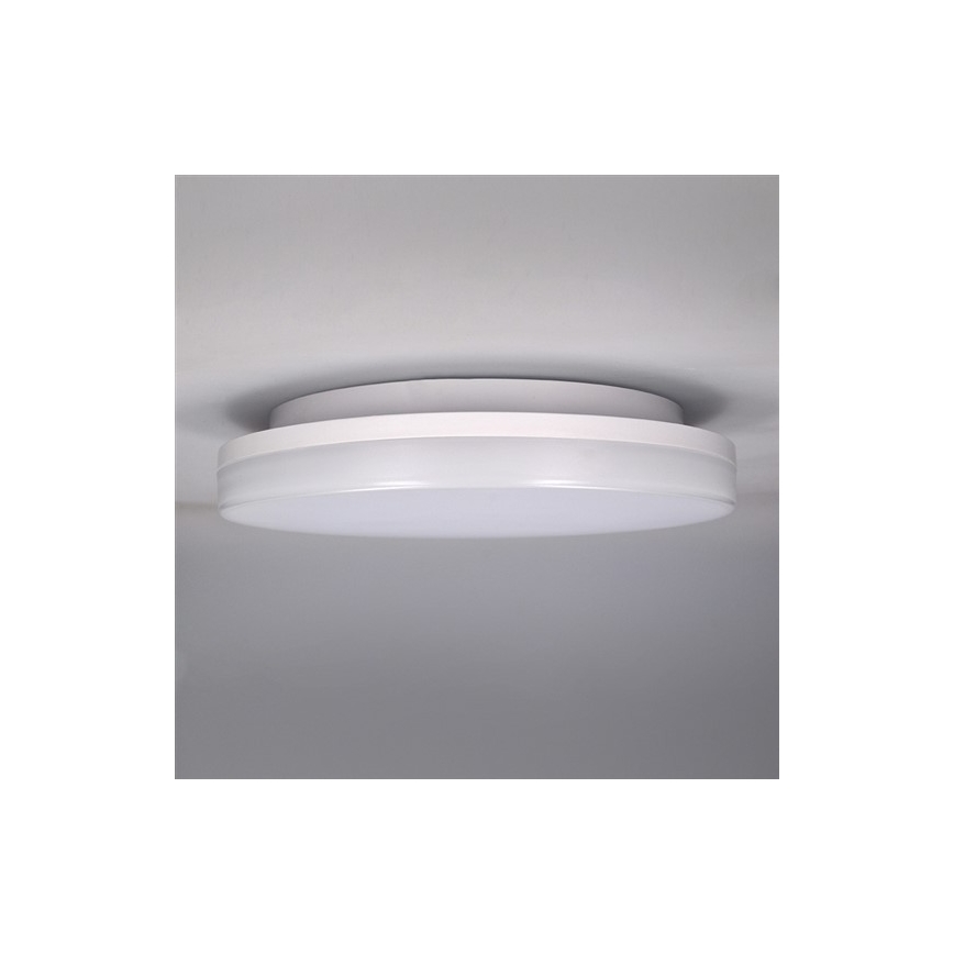 Udendørs LED loftlampe LED/15W/230V IP54