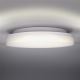 Udendørs LED loftlampe LED/15W/230V IP54