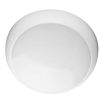 Udendørs LED loftlampe LED/8W/16W/20W/230V IP65 3000/4000/6500K