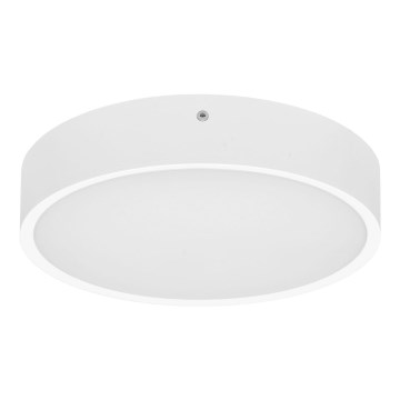 Udendørs LED loftlampe MARTIN LED/15W/230V 3000/4000K diameter 30 cm IP65 hvid