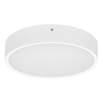 Udendørs LED loftlampe MARTIN LED/25W/230V 3000/4000K diameter 35 cm IP65 hvid