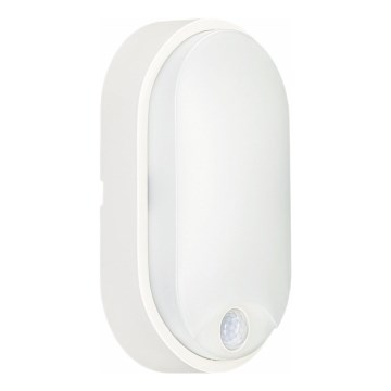 Udendørs LED loftlampe med sensor LED/14W/230V IP54 hvid
