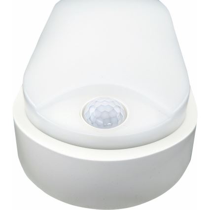 Udendørs LED loftlampe med sensor LED/14W/230V IP54 hvid
