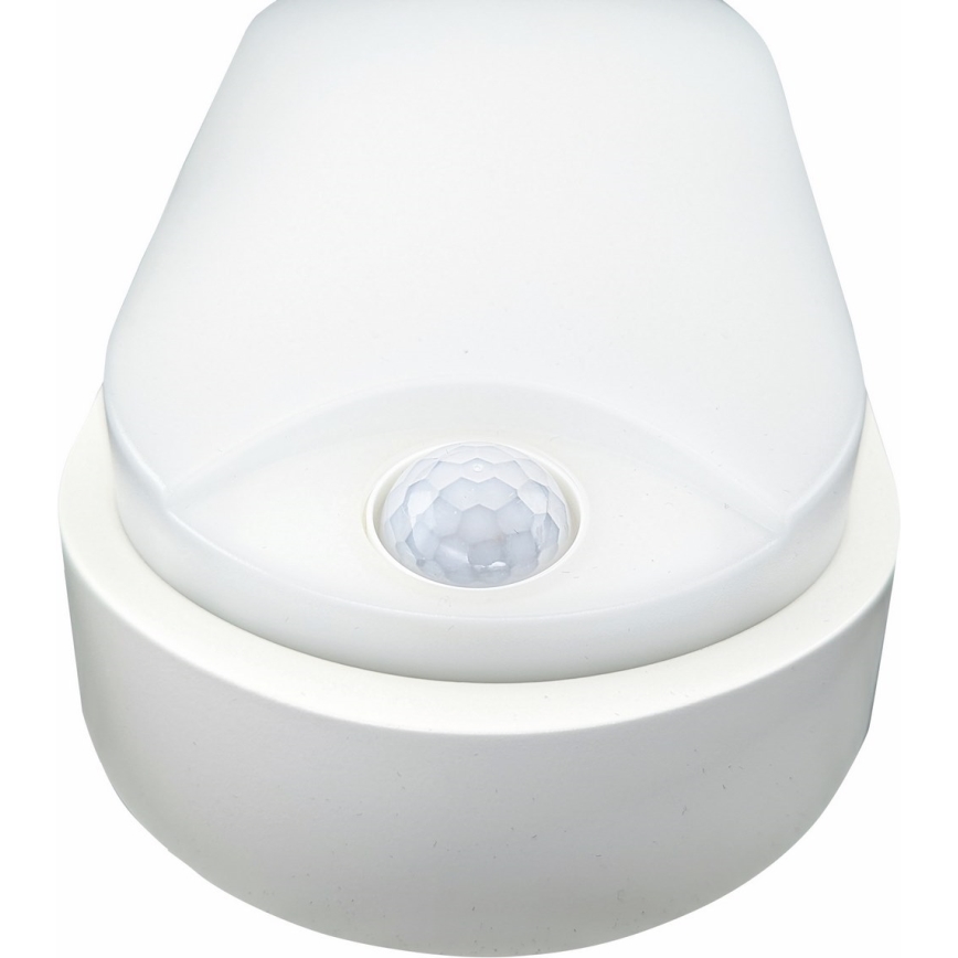 Udendørs LED loftlampe med sensor LED/14W/230V IP54 hvid