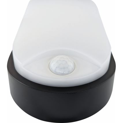 Udendørs LED loftlampe med sensor LED/14W/230V IP54 sort