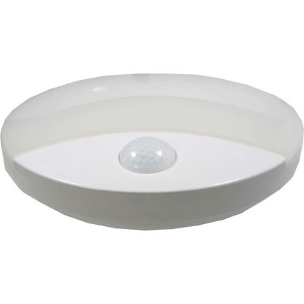 Udendørs LED loftlampe med sensor LED/15W/230V IP44