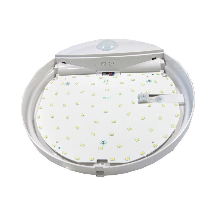 Udendørs LED loftlampe med sensor LED/15W/230V IP44