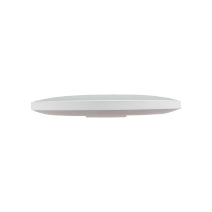 Udendørs LED loftlampe NYMPHEA LED/32W/230V IP54 3000K