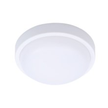 Udendørs LED loftlampe SIENA LED/13W/230V diameter 17 cm IP54 hvid