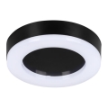 Udendørs LED loftlampe TURA LED/15W/230V 4000K IP65 sort
