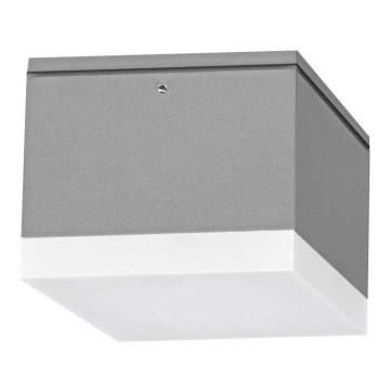 Udendørs LED loftslampe BRUNO LED/10W/230V IP54