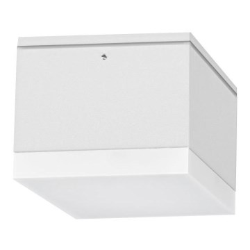 Udendørs LED loftslampe BRUNO LED/10W/230V IP54