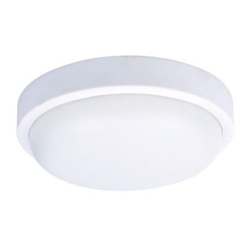 Udendørs LED loftslampe LED/20W/230V IP54