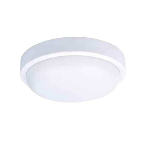 Udendørs LED loftslampe LED/20W/230V IP54