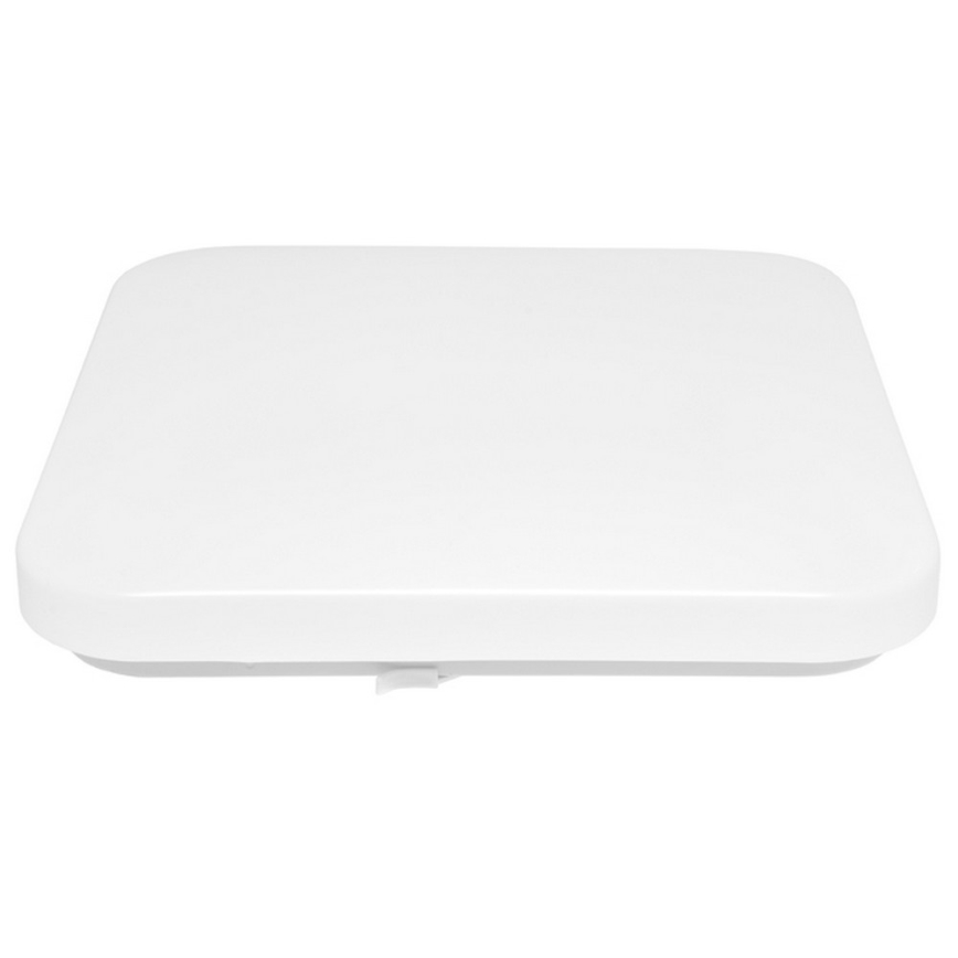 Udendørs LED loftslampe LUKA LED/42W/230V IP44