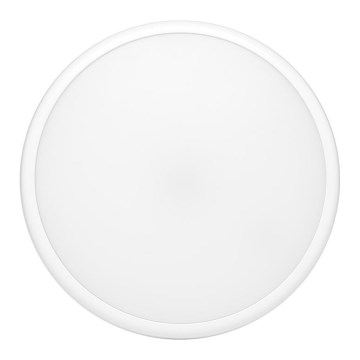 Udendørs LED loftslampe MOVA LED/16W/230V IP65