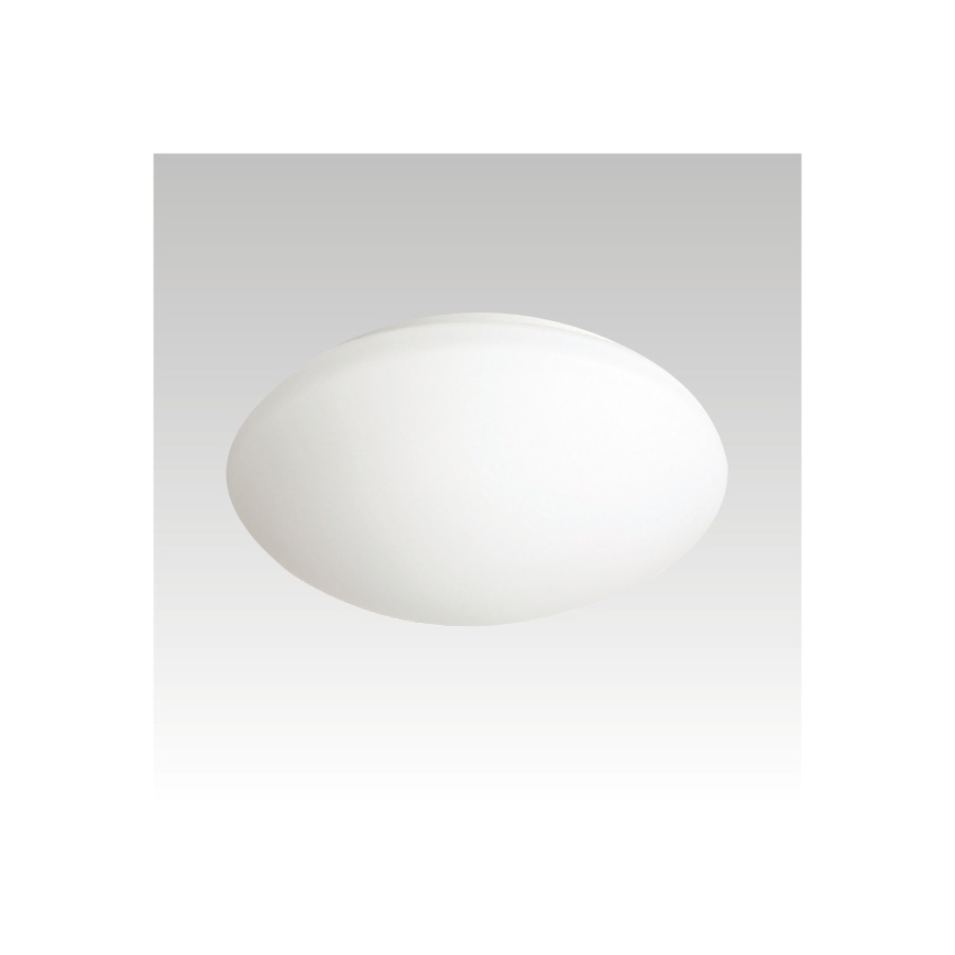 Udendørs LED loftslampe PETRA LED/12W/230V IP44