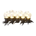 Udendørs LED lyskæde 10xLED/10 m IP44 gennemsigtig