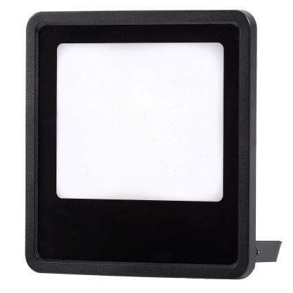 Udendørs LED projektør LED/100W/230V 4000K IP65 sort