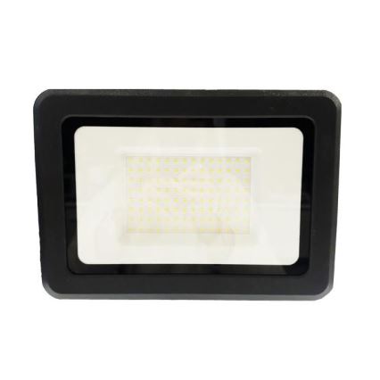 Udendørs LED projektør LED/100W/230V 4000K IP65 sort