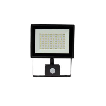 Udendørs LED projektør med sensor NOCTIS LUX 3 LED/50W/230V 4000K IP44 sort