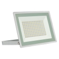Udendørs LED projektør NOCTIS LUX 3 LED/100W/230V 4000K IP65 hvid