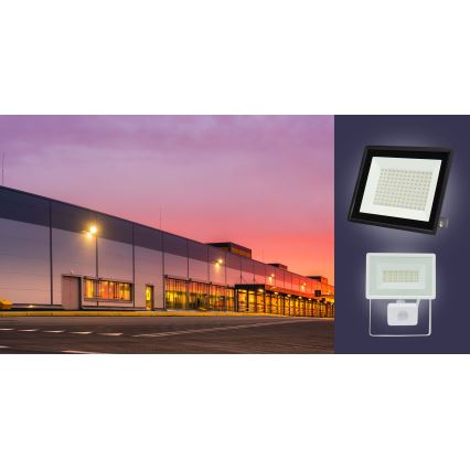 Udendørs LED projektør NOCTIS LUX 3 LED/100W/230V 4000K IP65 hvid