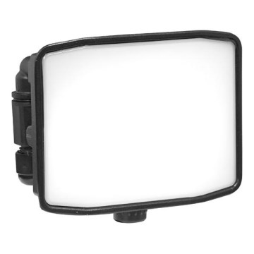 Udendørs LED projektør ZIPO LED/10W/230V 5000K IP65 sort