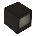 Udendørs LED væglampe 2xLED/5W/230V 4000K IP54 sort