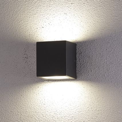 Udendørs LED væglampe 2xLED/5W/230V 4000K IP54 sort