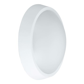 Udendørs LED væglampe BULKHEAD LED/30W/230V 4000K IP54 hvid