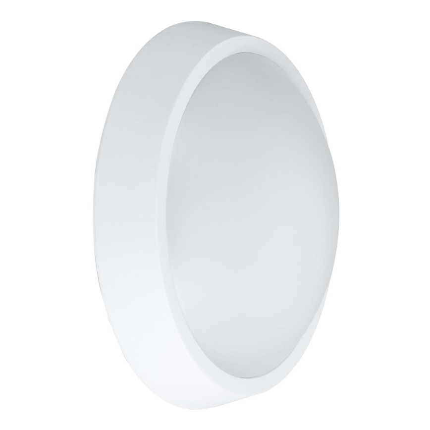 Udendørs LED væglampe BULKHEAD LED/30W/230V 4000K IP54 hvid
