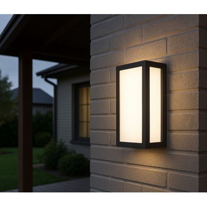 Udendørs LED væglampe ENTERA LED/10W/230V 4000K IP54