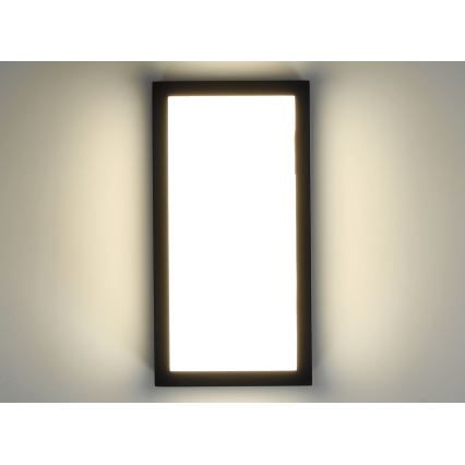 Udendørs LED væglampe ENTERA LED/10W/230V 4000K IP54