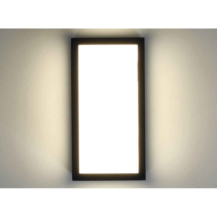 Udendørs LED væglampe ENTERA LED/10W/230V 4000K IP54