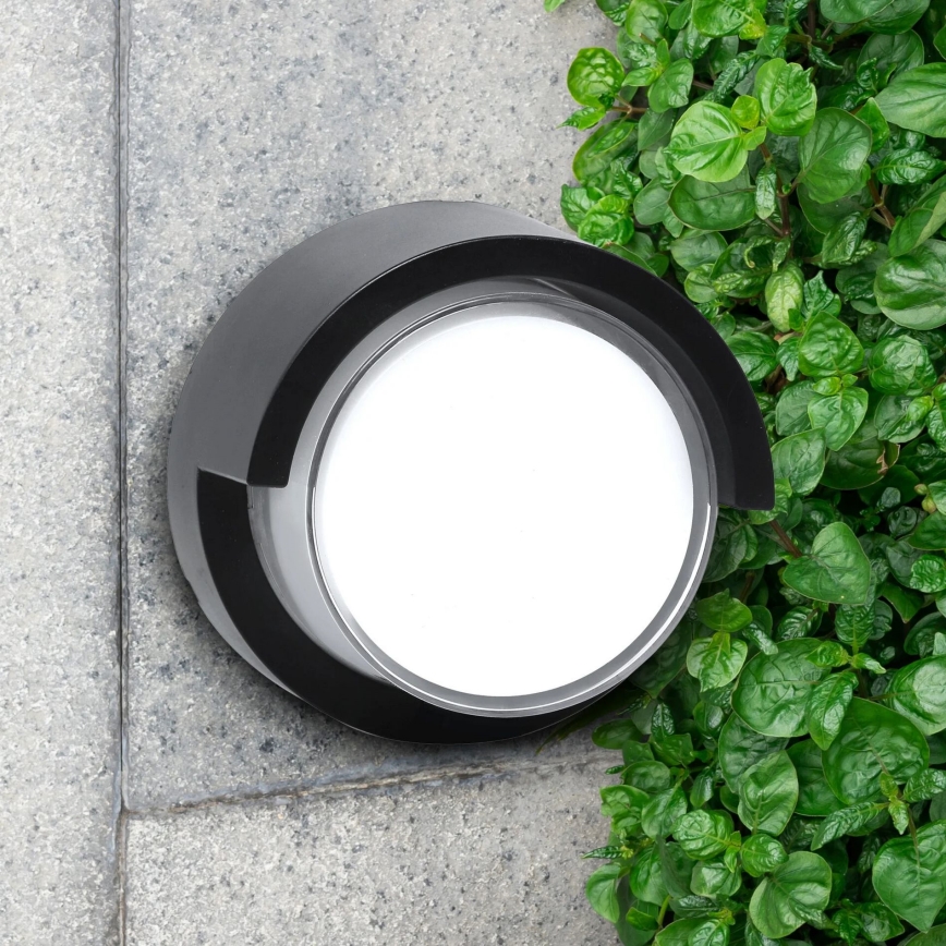 Udendørs LED væglampe ESSEN LED/10W/230V IP44 sort