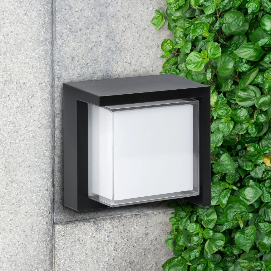 Udendørs LED væglampe ESSEN LED/12W/230V IP44 sort
