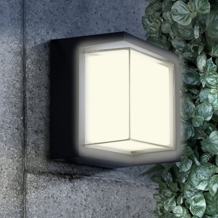 Udendørs LED væglampe ESSEN LED/12W/230V IP44 sort
