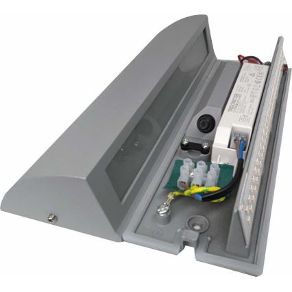 Udendørs LED væglampe LED/10W/230V IP54