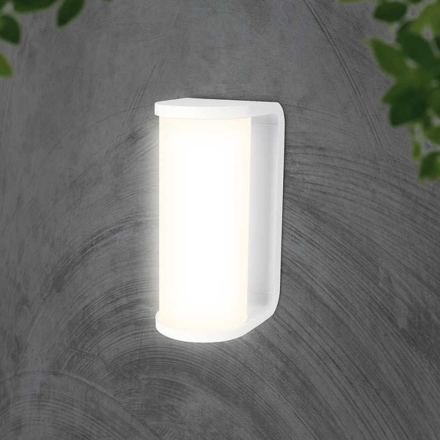 Udendørs LED væglampe LED/12W/230V 3000/4200/6500K IP65 hvid
