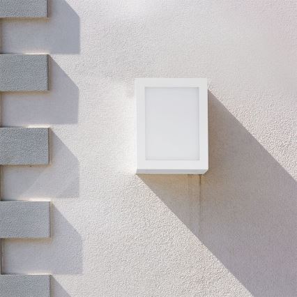 Udendørs LED væglampe LED/12W/230V 3000K IP65 hvid