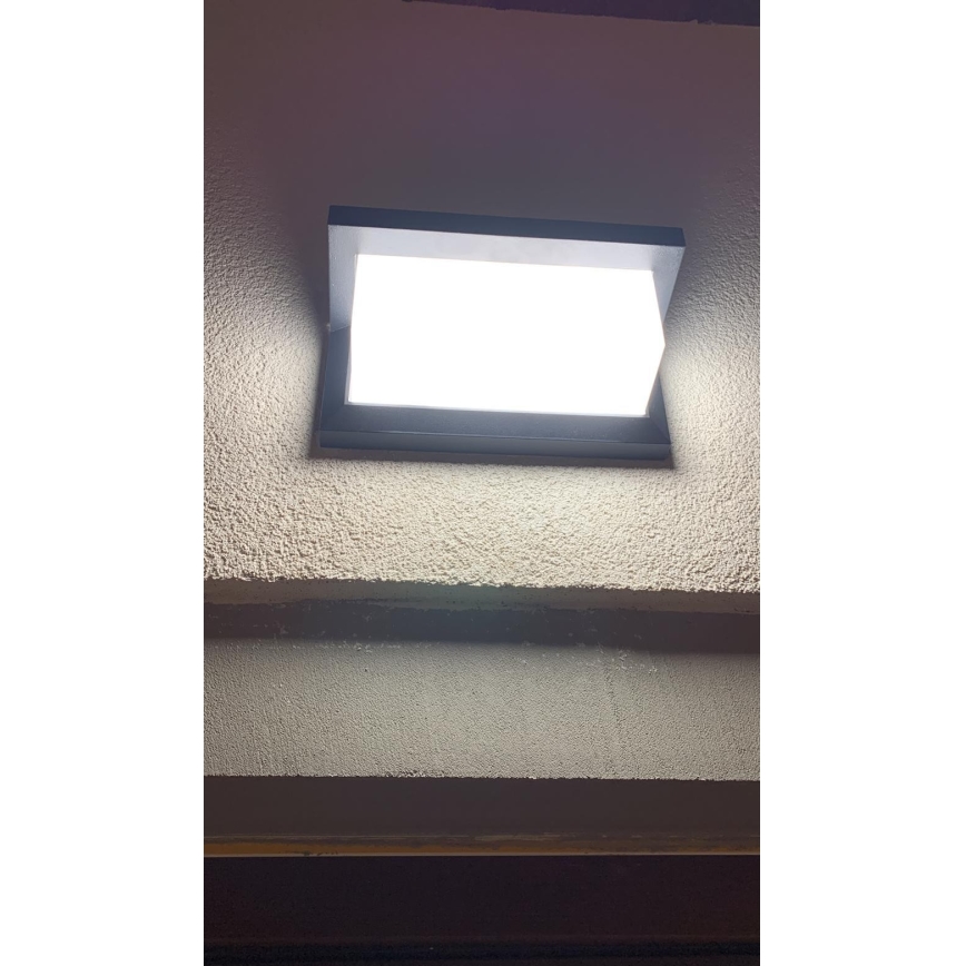 Udendørs LED væglampe LED/12W/230V IP54 sort