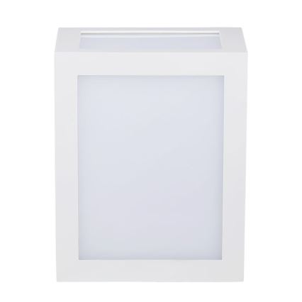 Udendørs LED væglampe LED/12W/230V IP65 4000K hvid
