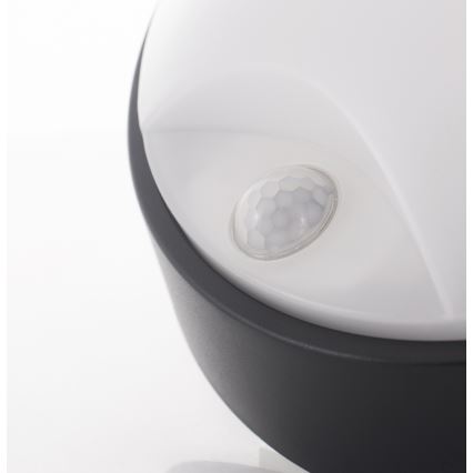 LED Udendørs væglampe med sensor LED/14W/230V IP54