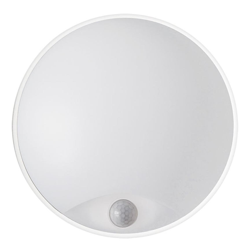 Udendørs LED væglampe LED/14W/230V IP54