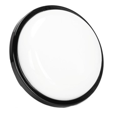 Udendørs LED væglampe LED/15W/230V 6500K diameter 15,5 cm sort IP65
