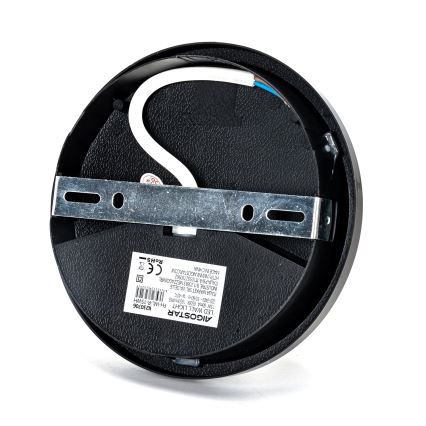 Udendørs LED væglampe LED/15W/230V 6500K diameter 15,5 cm sort IP65