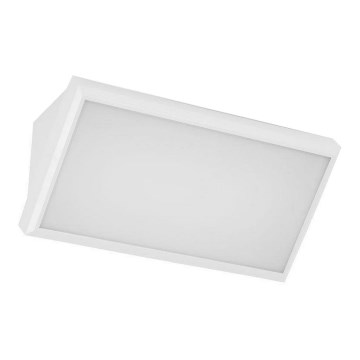 Udendørs LED væglampe LED/20W/230V 4000K IP65 hvid