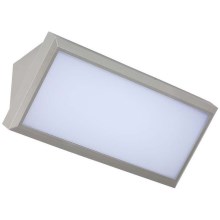 Udendørs LED væglampe LED/20W/230V 6400K IP65